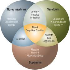 Neurotransmitters-Venn-Diagram.jpg